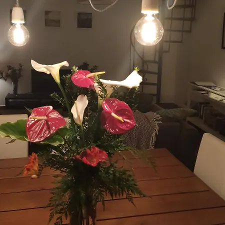 Casa Da Ovelha I Madeira *